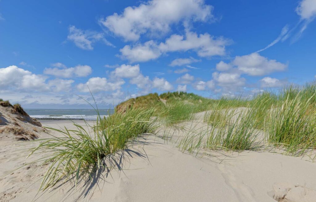 zwembad fotowand van duinen Ameland