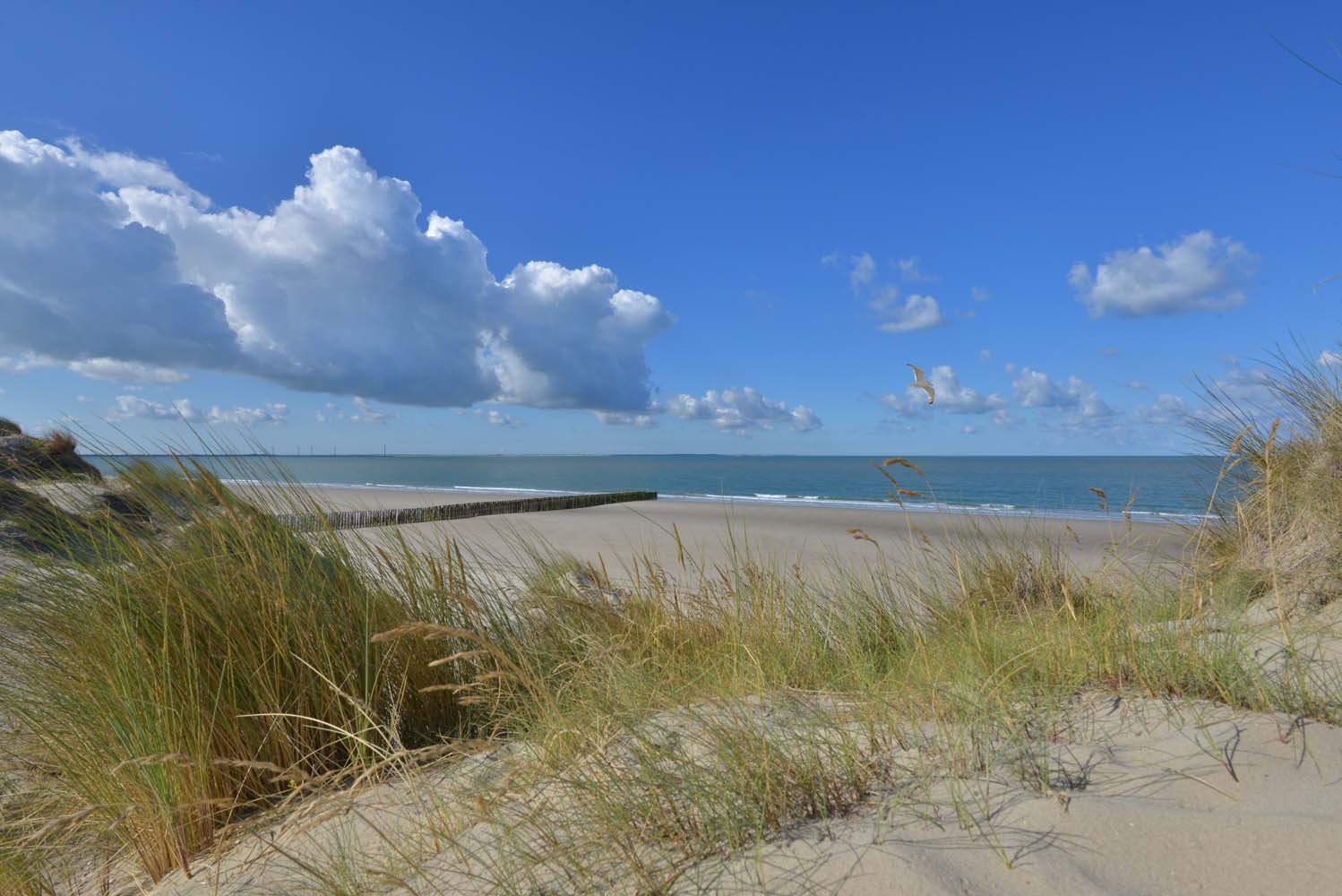 Fotowand fotobehang zwembadwanden collectie Nederlandse natuur- en landschappen