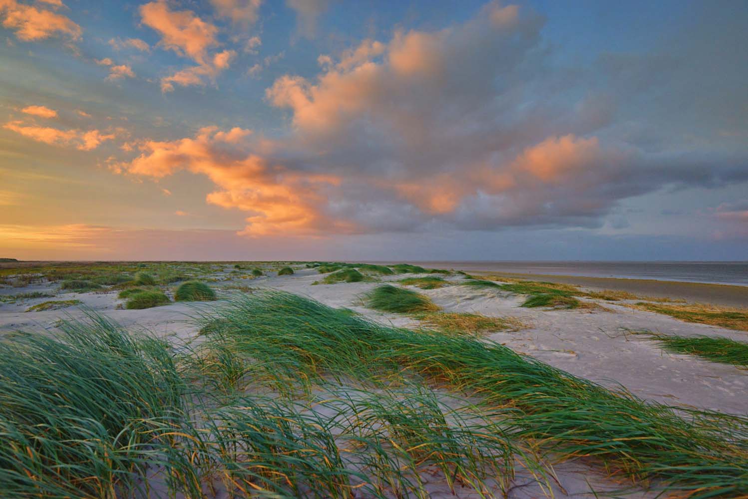 Nederlandse landschapsfoto's voor zwembadwanden