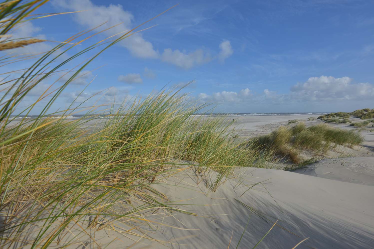 Nederlandse landschapsfoto's voor zwembadwanden